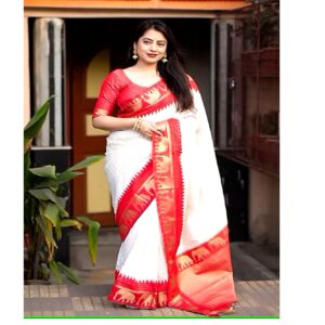Saree Blouse